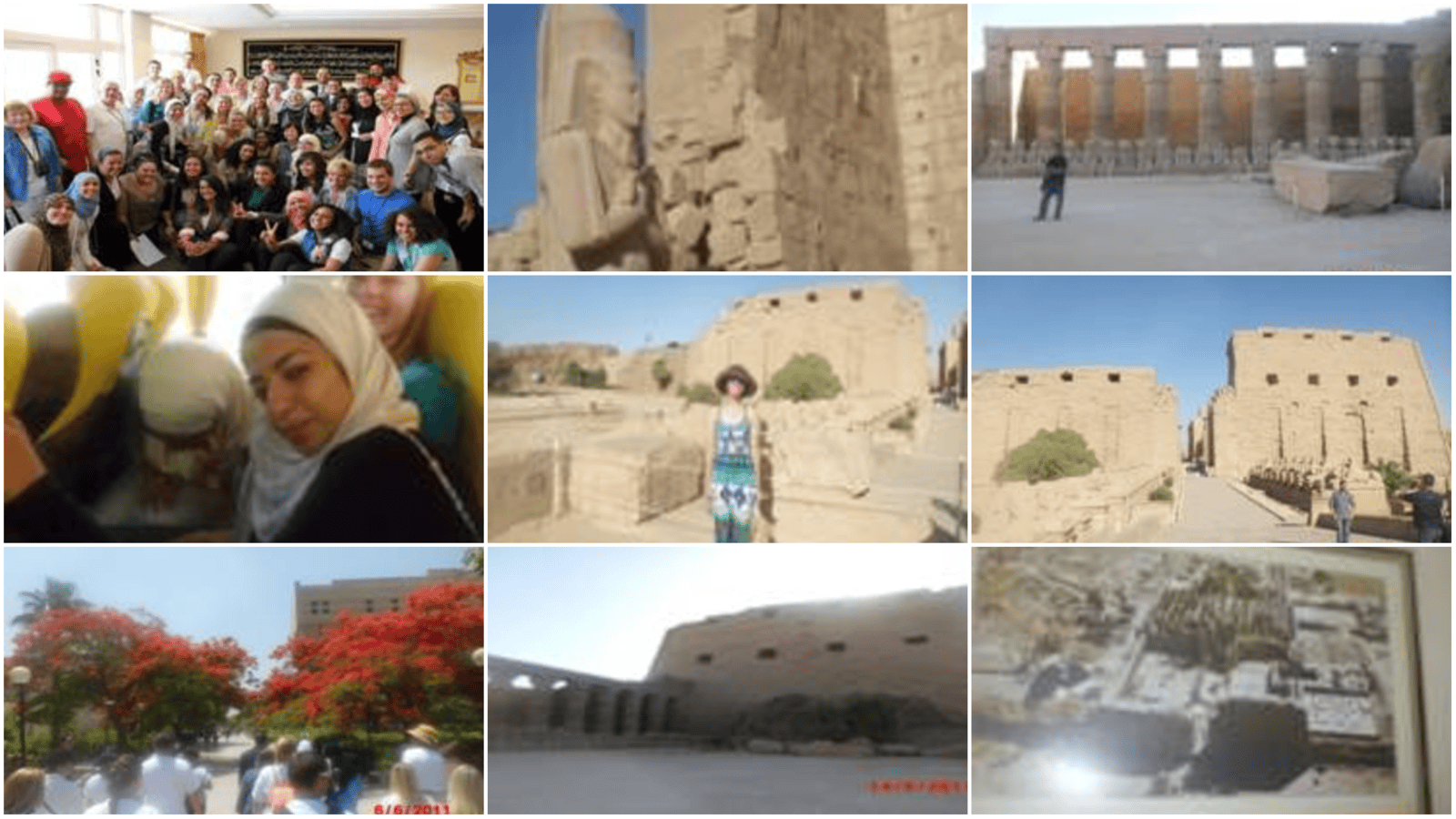 The Universities in Egypt